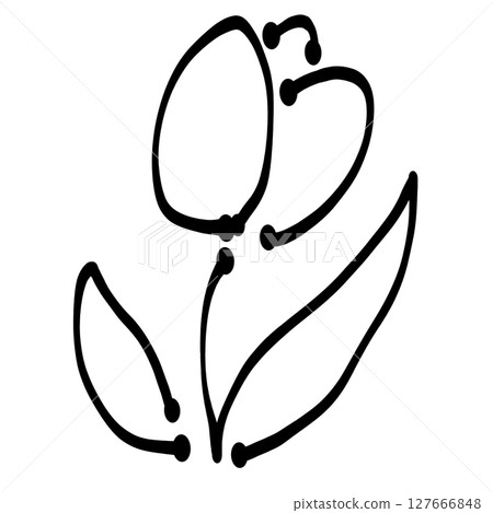 簡單的鬱金香 簡單的鬱金香 127666848