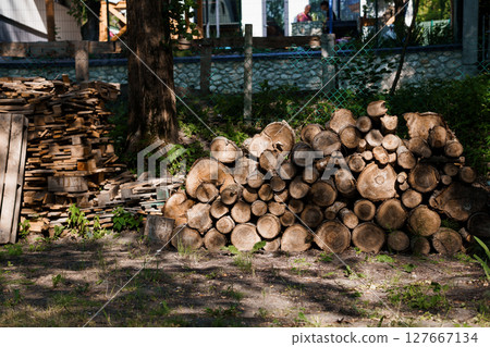 Stacked Firewood Piles in Backyard Garden with Trees and Fence, Rustic Landscape, Brown Tones, Natural Light, Outdoor Scene 127667134