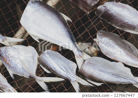 Drying fish in sunlight Drying fish in sunlight 127667447