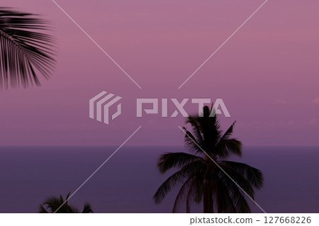 Purple sunset and black palm silhouettes 127668226