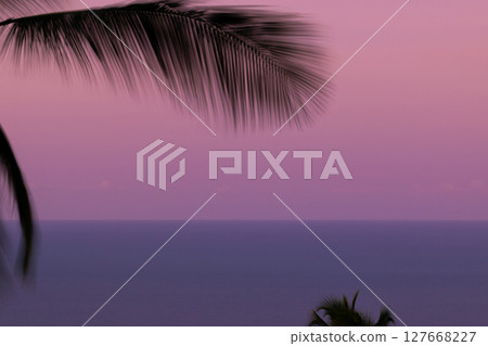 Purple sunset and black palm silhouettes 127668227