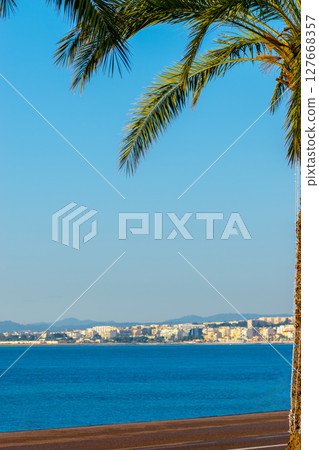 Nice city and palm tree during clear day Nice city and palm tree during clear day 127668357