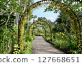 植物園裡美麗的拱門 127668651
