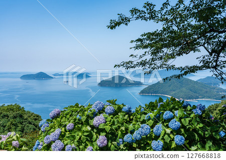 紫陽花盛開的紫陽花山景色 紫陽花盛開的紫陽花山景色 127668818