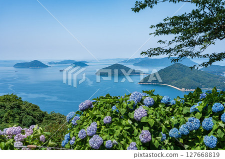 View of Mount Shiude with hydrangeas in bloom 127668819