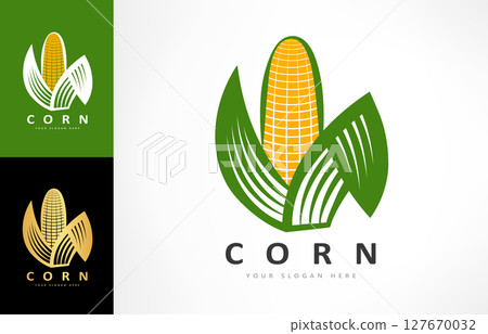Ear of corn logo vector. Food design Ear of corn logo vector. Food design 127670032
