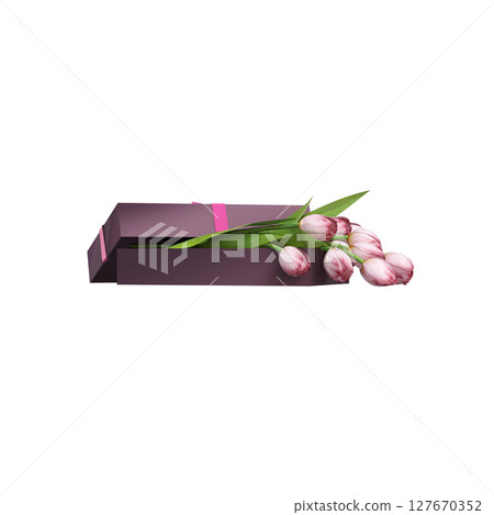 decorative flowers and plants for the interior, isolated on transparent background, 3D illustration, cg render 127670352