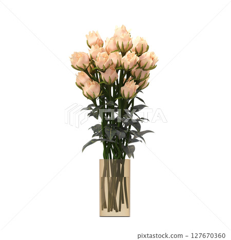 decorative flowers and plants for the interior, isolated on transparent background, 3D illustration, cg render decorative flowers and plants for the interior, isolated on transparent background, 3D illustration, cg render 127670360