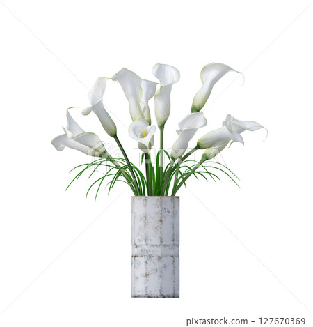decorative flowers and plants for the interior, isolated on transparent background, 3D illustration, cg render decorative flowers and plants for the interior, isolated on transparent background, 3D illustration, cg render 127670369