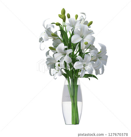 decorative flowers and plants for the interior, isolated on transparent background, 3D illustration, cg render 127670378