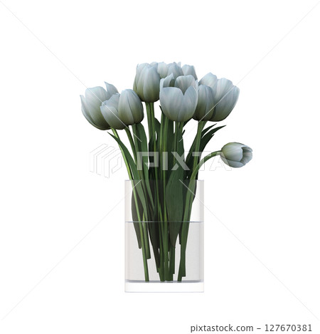 decorative flowers and plants for the interior, isolated on transparent background, 3D illustration, cg render decorative flowers and plants for the interior, isolated on transparent background, 3D illustration, cg render 127670381