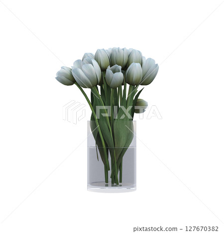 decorative flowers and plants for the interior, isolated on transparent background, 3D illustration, cg render decorative flowers and plants for the interior, isolated on transparent background, 3D illustration, cg render 127670382