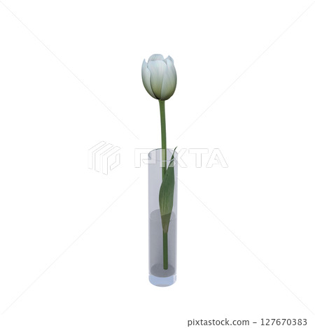 decorative flowers and plants for the interior, isolated on transparent background, 3D illustration, cg render decorative flowers and plants for the interior, isolated on transparent background, 3D illustration, cg render 127670383