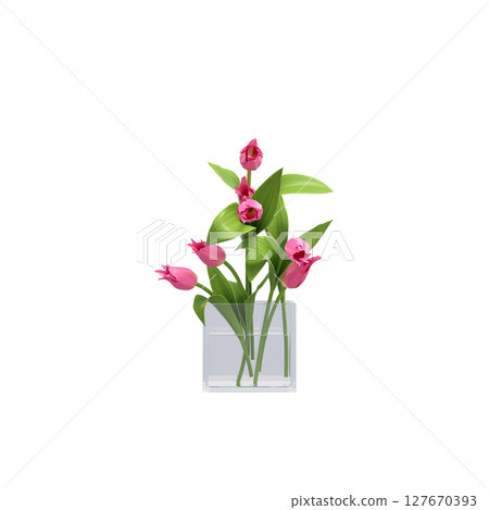 decorative flowers and plants for the interior, isolated on transparent background, 3D illustration, cg render decorative flowers and plants for the interior, isolated on transparent background, 3D illustration, cg render 127670393