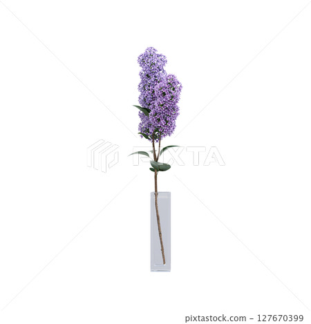 decorative flowers and plants for the interior, isolated on transparent background, 3D illustration, cg render 127670399
