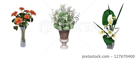 decorative flowers and plants for the interior, isolated on transparent background, 3D illustration, cg render decorative flowers and plants for the interior, isolated on transparent background, 3D illustration, cg render 127670400