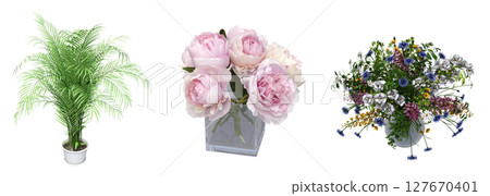 decorative flowers and plants for the interior, isolated on transparent background, 3D illustration, cg render decorative flowers and plants for the interior, isolated on transparent background, 3D illustration, cg render 127670401