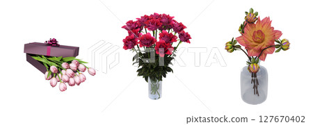 decorative flowers and plants for the interior, isolated on transparent background, 3D illustration, cg render 127670402