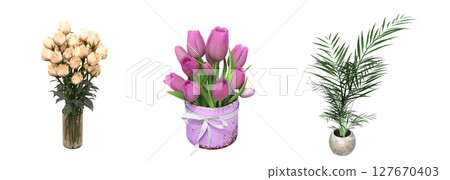 decorative flowers and plants for the interior, isolated on transparent background, 3D illustration, cg render decorative flowers and plants for the interior, isolated on transparent background, 3D illustration, cg render 127670403