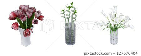 decorative flowers and plants for the interior, isolated on transparent background, 3D illustration, cg render decorative flowers and plants for the interior, isolated on transparent background, 3D illustration, cg render 127670404