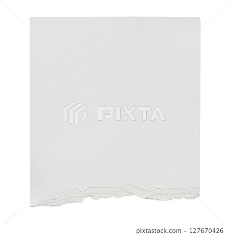 Piece of ripped torn paper isolated on transparent background. Modern minimal branding stationery mockup. Empty message note reminder card template Scrapbook element. Business office graphic object 127670426