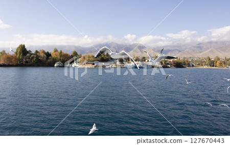 flock of seagull flying near the tourboat in Issue-kul lake flock of seagull flying near the tourboat in Issue-kul lake 127670443