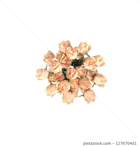 decorative flowers and plants for the interior, top view, isolated on transparent background, 3D illustration, cg render 127670481