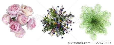 decorative flowers and plants for the interior, top view, isolated on transparent background, 3D illustration, cg render decorative flowers and plants for the interior, top view, isolated on transparent background, 3D illustration, cg render 127670493