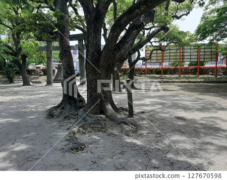 與鳥居的風景 127670598