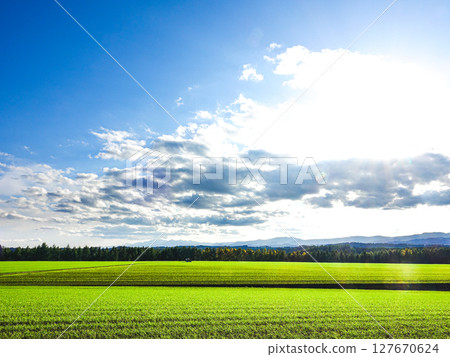 Refreshing early autumn scenery in Biei, Hokkaido 127670624