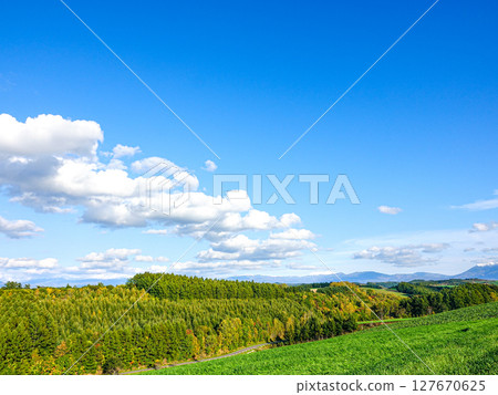 Refreshing early autumn scenery in Biei, Hokkaido Refreshing early autumn scenery in Biei, Hokkaido 127670625