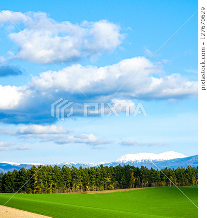 Refreshing early autumn scenery in Biei, Hokkaido Refreshing early autumn scenery in Biei, Hokkaido 127670629