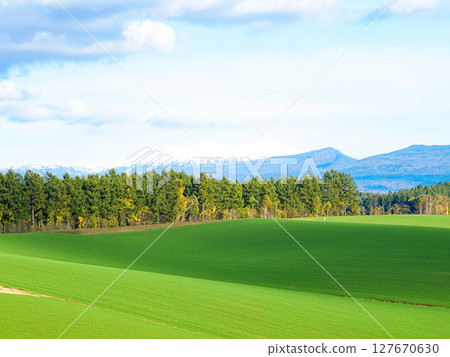 Refreshing early autumn scenery in Biei, Hokkaido Refreshing early autumn scenery in Biei, Hokkaido 127670630