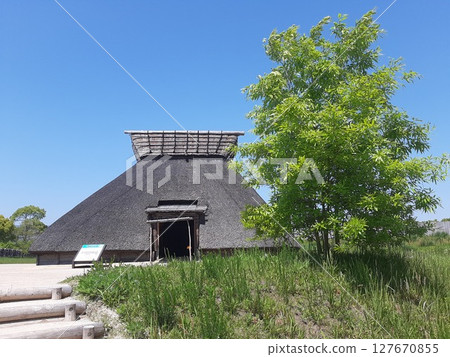 Yoshinogari Park - Scenery with thatched roofs 127670855
