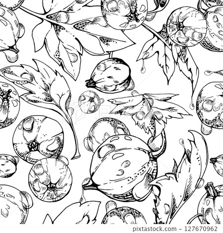Currant gooseberry flying in water dew drops with green leaves, ripe garden berry casseille juneberry jostaberry hand drawn in vector ink. Isolated seamless pattern. Fabric, wrapping paper, wallpaper 127670962