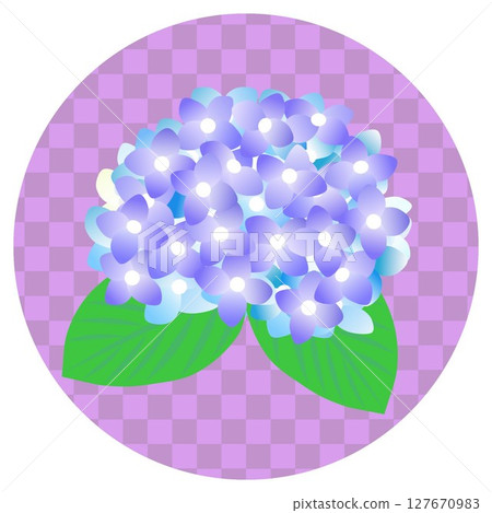 圓形背景繡球花插圖 127670983