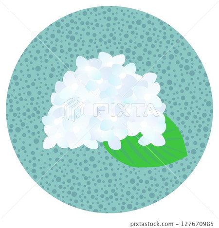 圓形背景繡球花插圖 圓形背景繡球花插圖 127670985
