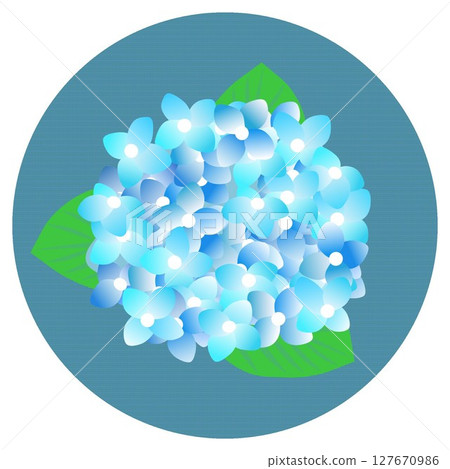 圓形背景繡球花插圖 圓形背景繡球花插圖 127670986