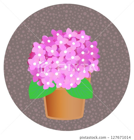 Illustration of hydrangea with circular background 127671014