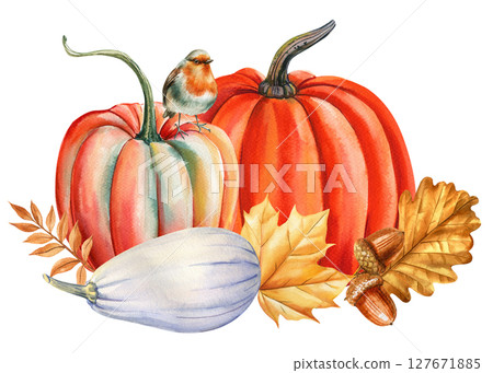 Pumpkins robin bird white squash acorns and golden fall oak leaves watercolor autumn harvest illustration for prints 127671885