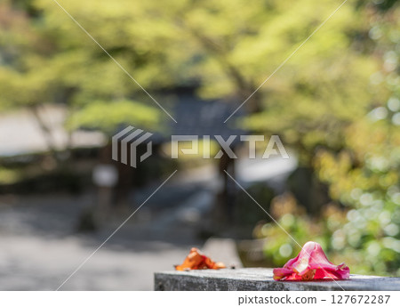 View of Kokeizan Eihoji Temple View of Kokeizan Eihoji Temple 127672287