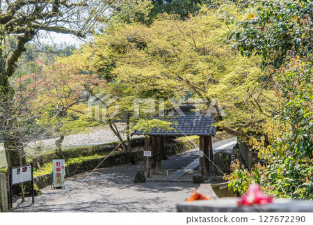View of Kokeizan Eihoji Temple 127672290