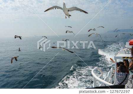 Tourists feeding seagulls from the deck of a sightseeing boat 127672297