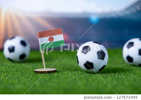 Niger flag proudly displayed on a vibrant green soccer pitch with multiple footballs, symbolizing national team presence and global athletic competition in a stadium setting 127672495