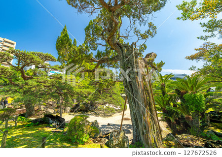 [Japan's 100 Famous Castles] Tokushima Castle: Old Trees and Dry Landscape Gardens, Tokushima City, Tokushima Prefecture 127672526