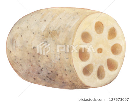 Lotus Notes 127673097