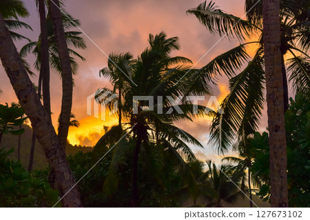 Landscape View at Sunset After the Rain in Seychelles Landscape View at Sunset After the Rain in Seychelles 127673102