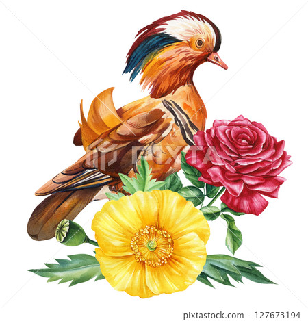 Mandarin duck with yellow poppy red rose floral bouquet watercolor exotic bird illustration for nursery or decor, poster, postcard 127673194