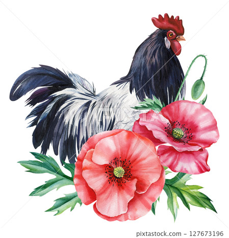 Black and white rooster with red poppies watercolor farm bird illustration with summer wildflowers and green leaves Black and white rooster with red poppies watercolor farm bird illustration with summer wildflowers and green leaves 127673196