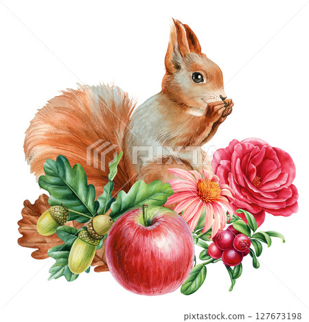 Watercolor squirrel with red apple oak leaves pink roses and acorns forest autumn composition for kids decor Watercolor squirrel with red apple oak leaves pink roses and acorns forest autumn composition for kids decor 127673198